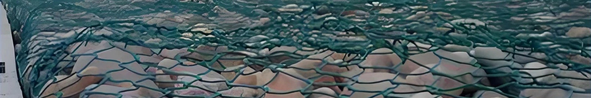 PE/PVC Coated Gabion Mesh product photo showing the product structure